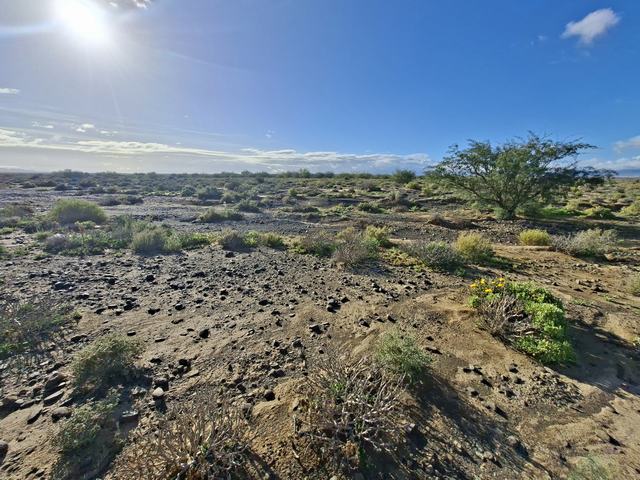 Commercial Property for Sale in Ceres Rural Western Cape